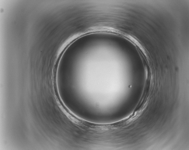 X0000060241438200510311510