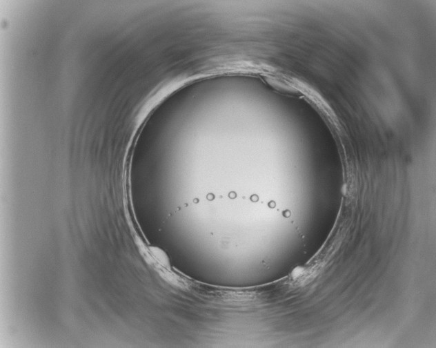 X0000060241439200510311510