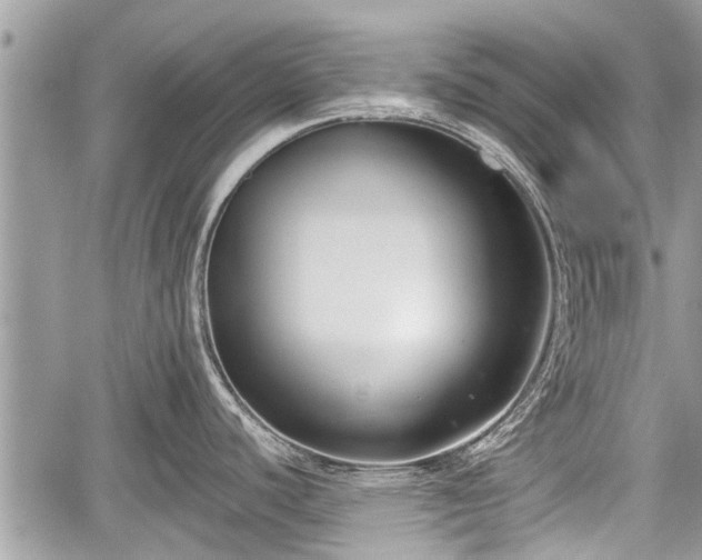 X0000060241440200510311510