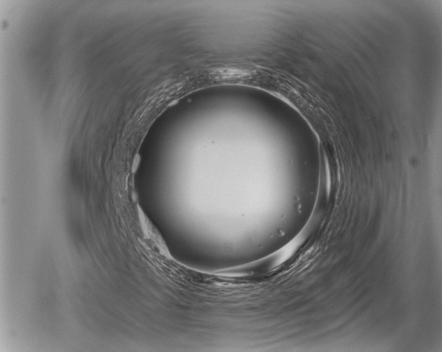 X0000060241441200510311510