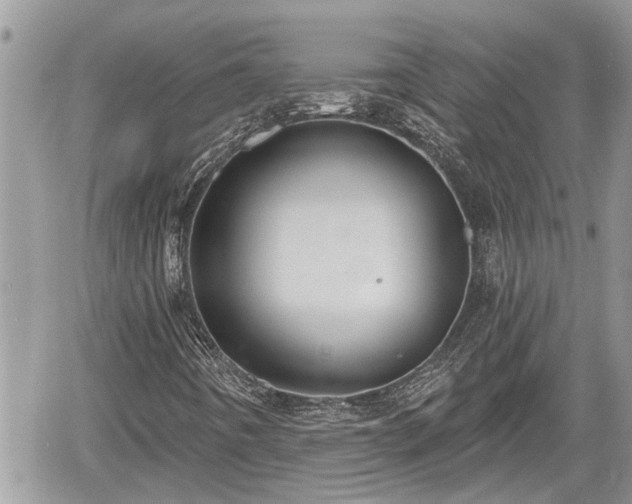 X0000060241442200510311510