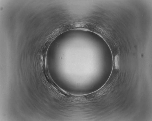 X0000060241443200510311510