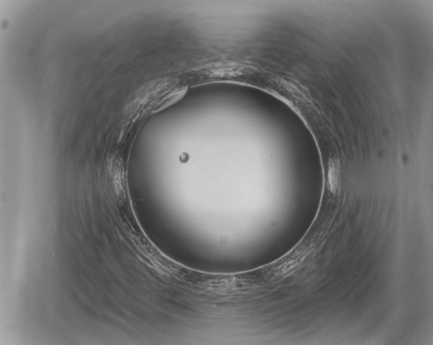 X0000060241444200510311510