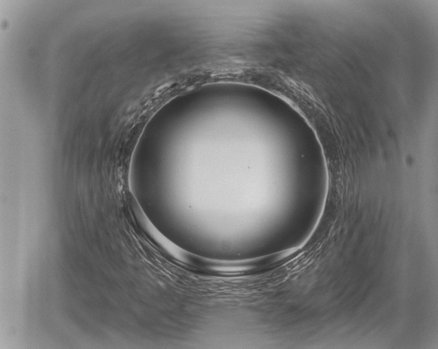 X0000060241445200510311510