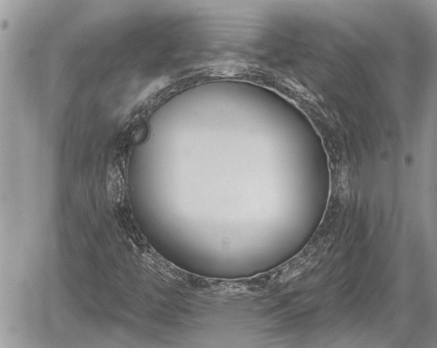 X0000060241446200510311509