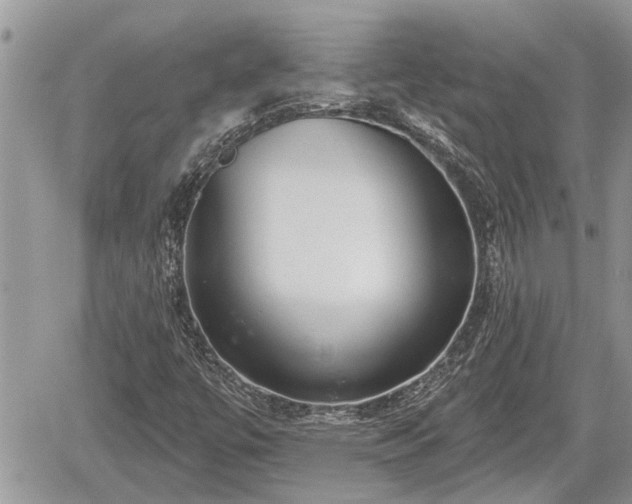 X0000060241447200510311509