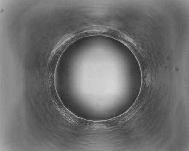 X0000060241448200510311509