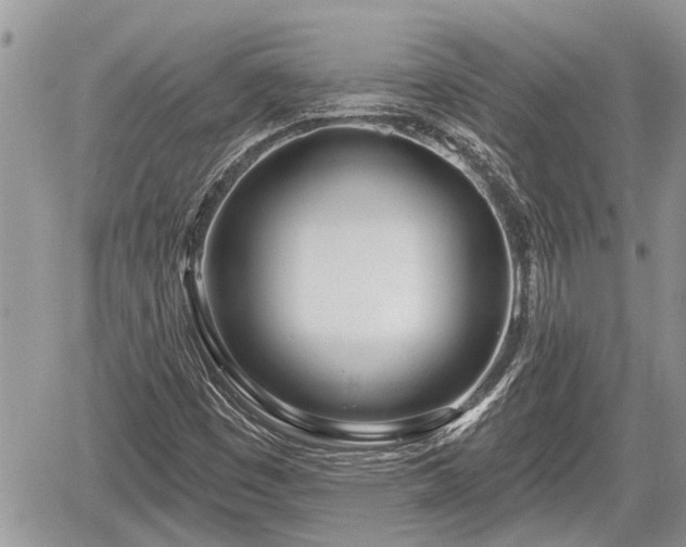 X0000060241449200510311509