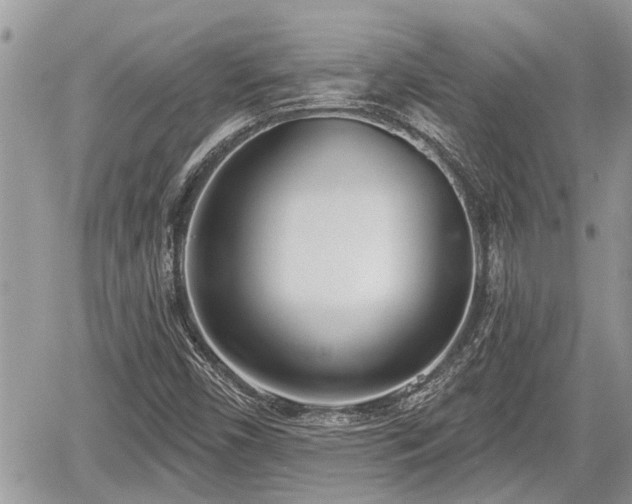 X0000060241450200510311509