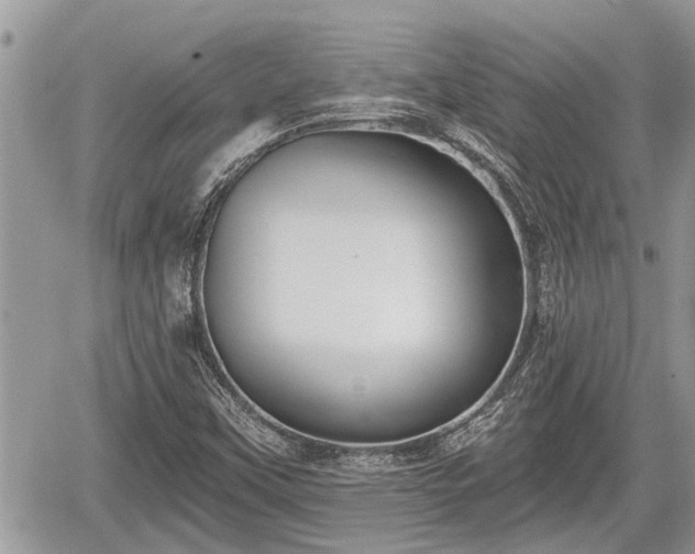 X0000060241451200510311509