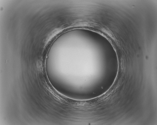 X0000060241452200510311509