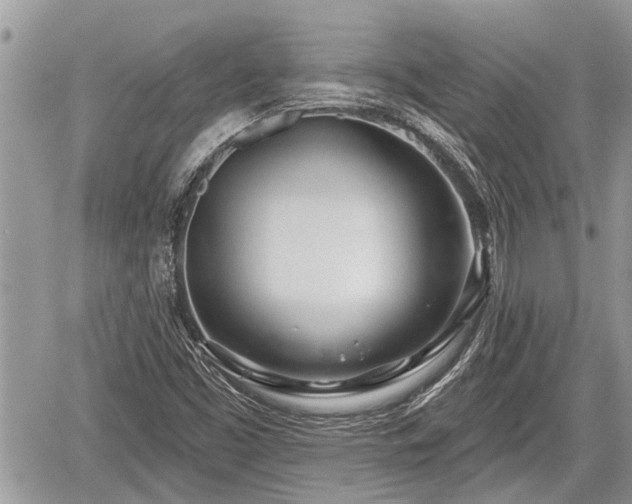 X0000060241453200510311509