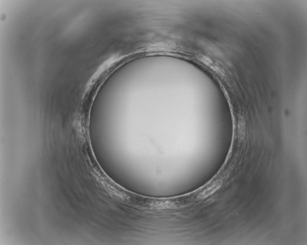 X0000060241454200510311509