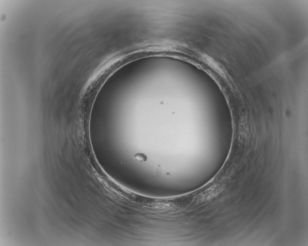 X0000060241456200510311509