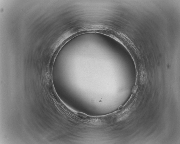 X0000060241457200510311509