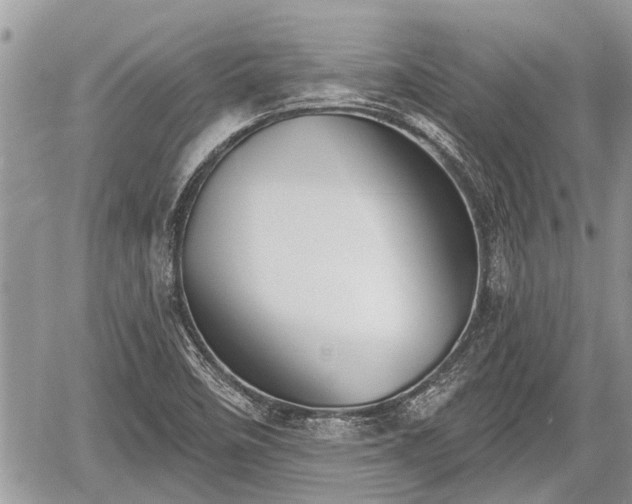 X0000060241458200510311509