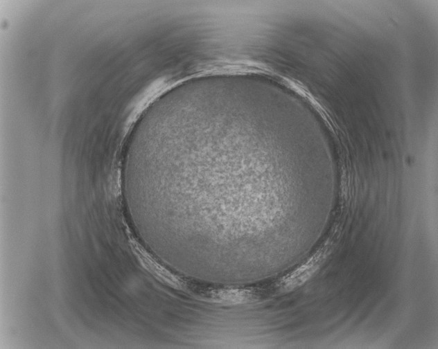 X0000060241459200510311509