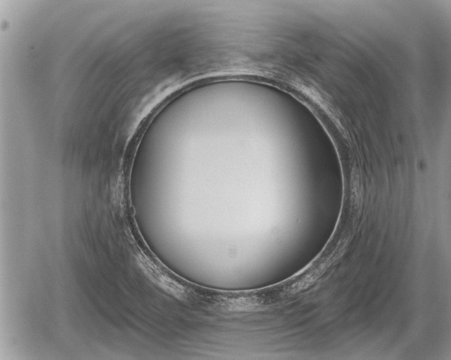 X0000060241460200510311509