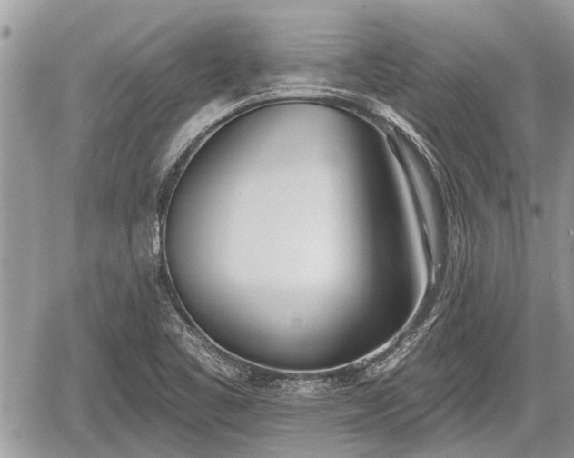 X0000060241461200510311509