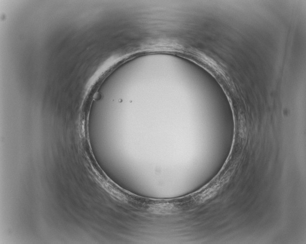 X0000060241462200510311509