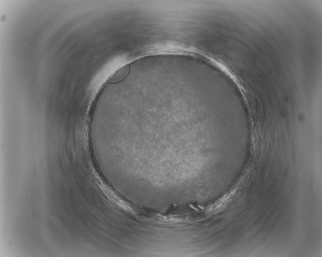 X0000060241463200510311509