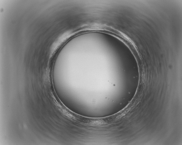 X0000060241464200510311509