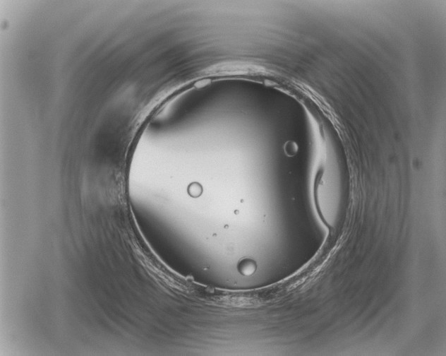 X0000060241465200510311509