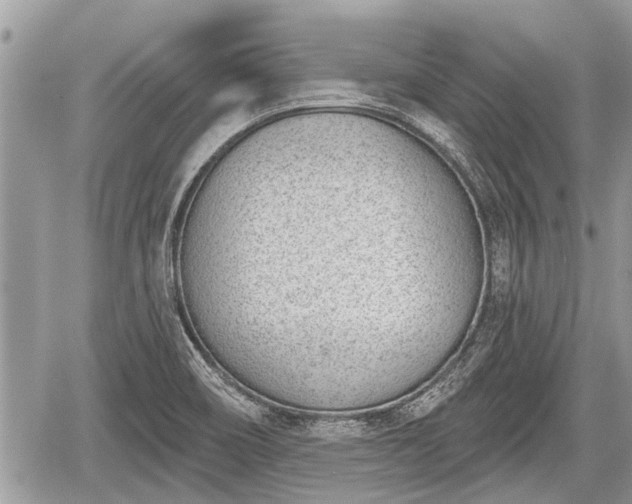 X0000060241466200510311509