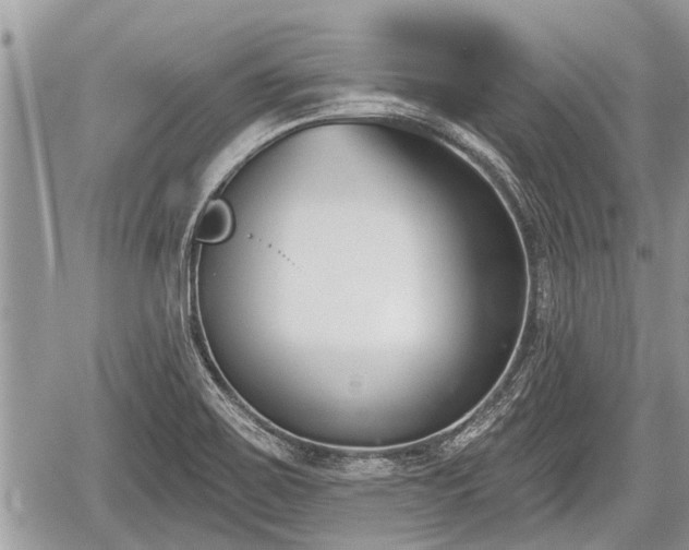 X0000060241467200510311509