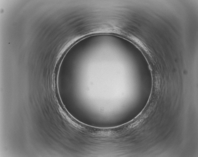 X0000060241468200510311509