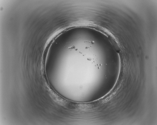 X0000060241469200510311509