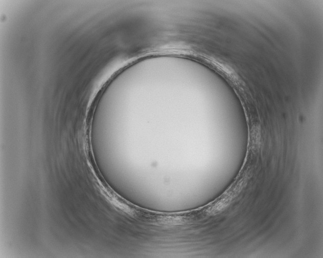 X0000060241470200510311509