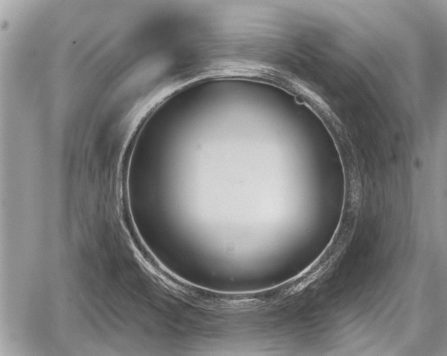 X0000060241471200510311509