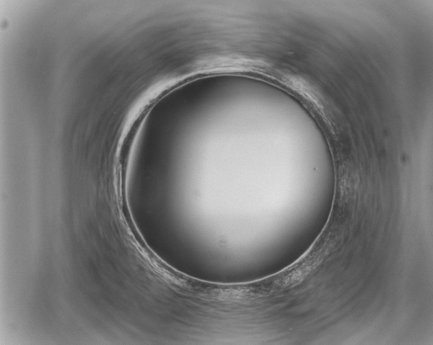 X0000060241472200510311509