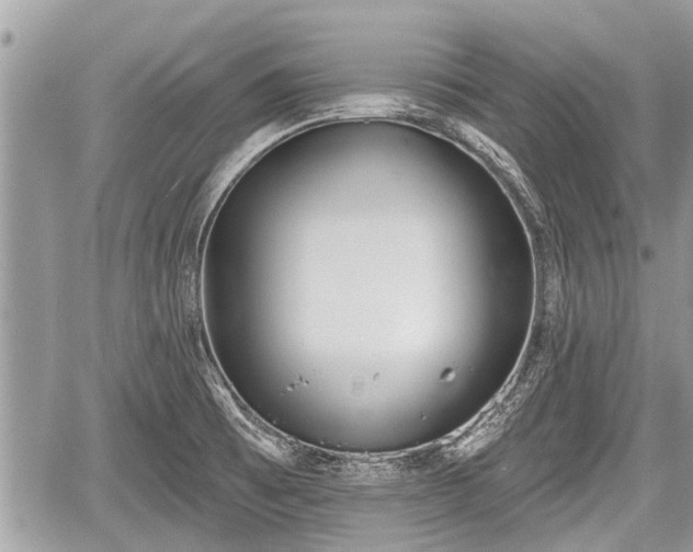 X0000060241473200510311509