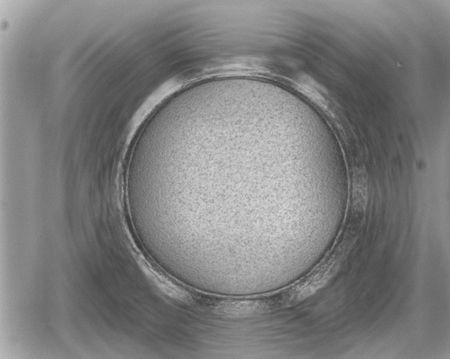 X0000060241474200510311509