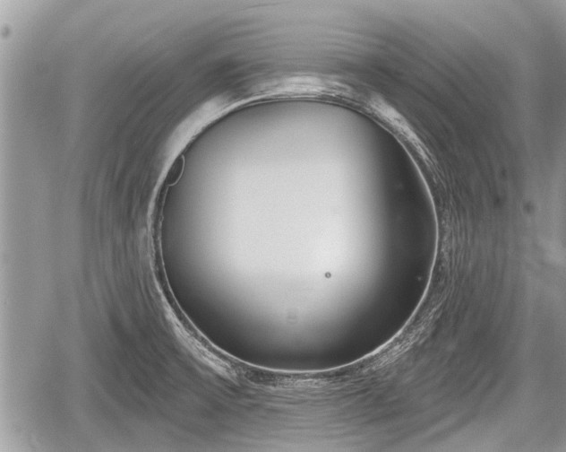 X0000060241475200510311509