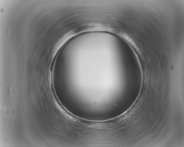 X0000060241476200510311509