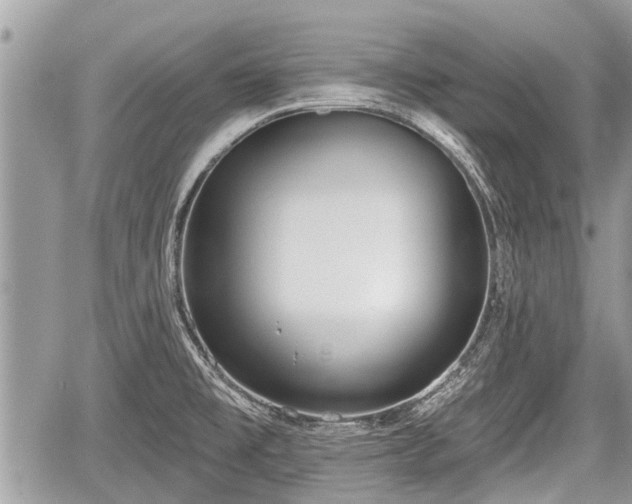 X0000060241477200510311509