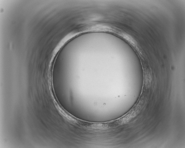 X0000060241478200510311509