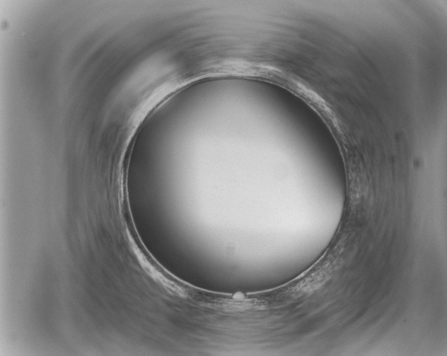 X0000060241479200510311509