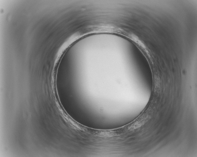 X0000060241480200510311509