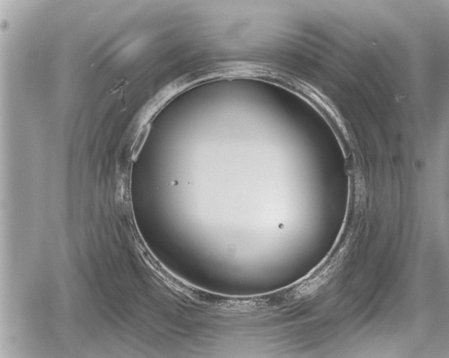 X0000060241481200510311509