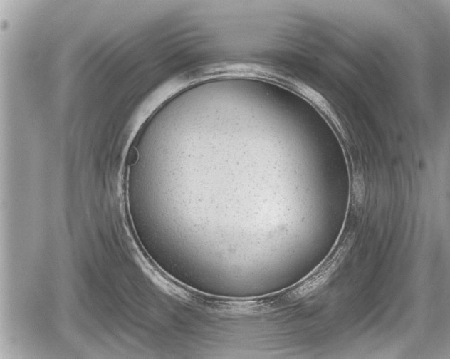 X0000060241482200510311509