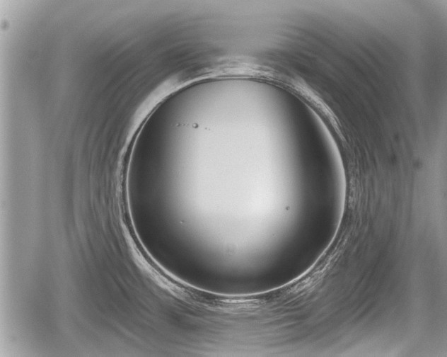 X0000060241483200510311509