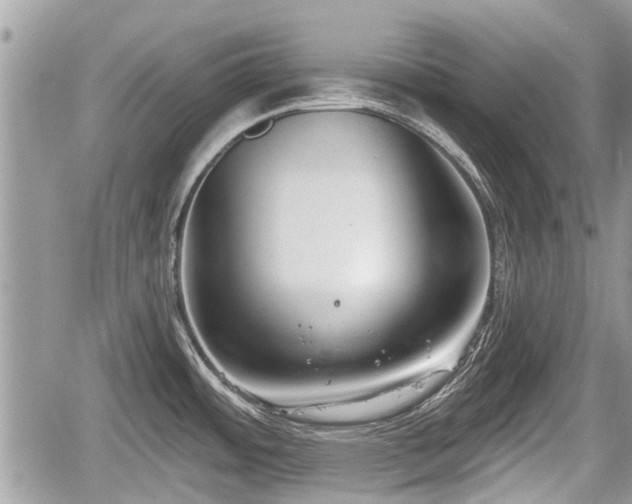 X0000060241484200510311509