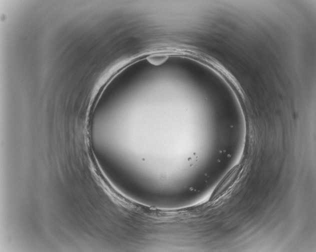 X0000060241485200510311509