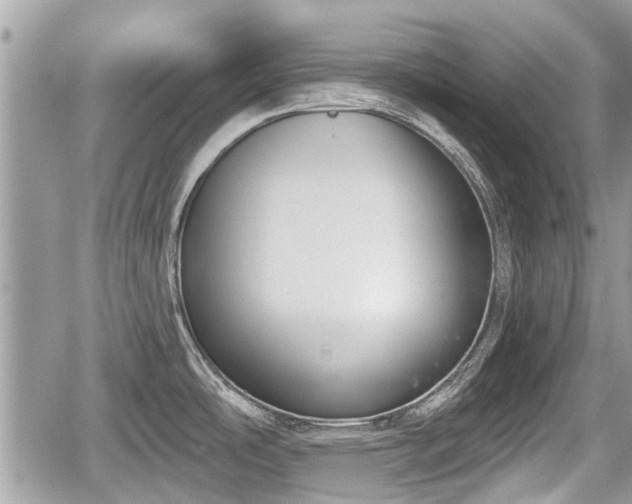 X0000060241486200510311509