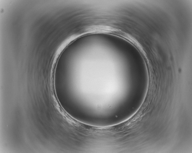 X0000060241488200510311509