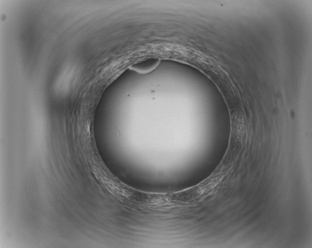 X0000060241489200510311508